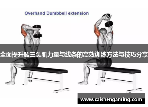 全面提升肱三头肌力量与线条的高效训练方法与技巧分享
