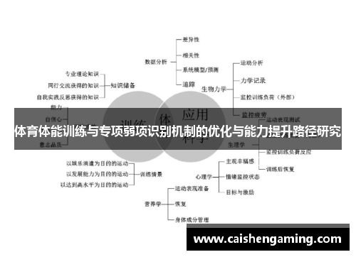 体育体能训练与专项弱项识别机制的优化与能力提升路径研究
