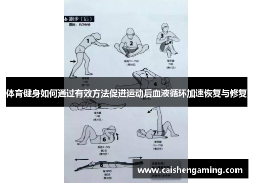 体育健身如何通过有效方法促进运动后血液循环加速恢复与修复